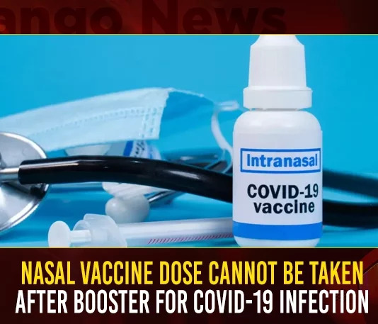 Nasal Vaccine Dose Cannot Be Taken After Booster For COVID-19 Infection,Covid New Variant Cases,Bharat Biotech Nasal Vaccine,Centre Approved Nasal Vaccine,Mango News,Bharat Biotech Nasal Vaccine Availability,When Will Nasal Vaccine Be Available,Bharat Biotech Nasal Vaccine Name,Nasal Vaccine Covid Bharat Biotech,Bharat Biotech Nasal Vaccine Phase 3,Nasal Vaccine Bharat Biotech Launch Date,Bharat Biotech Nasal Vaccine Efficacy,Nasal Vaccine Covid 19,Bharat Biotech Nasal Vaccine Phase 2,Bharat Biotech Nasal Vaccine Launch Date In India,Bharat Biotech Nasal Vaccine Phase 1,Bharat Biotech Nasal Vaccine Trial Result,Bharat Biotech Nasal Vaccines Awaiting Regulatory Approval,Nasal Vaccine Bharat Biotech,Bharat Biotech Nasal Vaccines,List Of Nasal Vaccines,Nasal Administration Vaccines,Nasal And Inhaled Vaccines,Nasal Covid 19 Vaccines,Nasal Covid Vaccine Name,Nasal Covid Vaccines,Nasal Delivery Of Vaccines,Nasal Flu Vaccines,Nasal Spray Vaccines,Nasal Spray Vaccines Covid,Nasal Spray Vaccines For Covid 19,Nasal Vaccine Bharat Biotech Launch Date,Nasal Vaccine Examples,Nasal Vaccine India,Nasal Vaccine Update,Nasal Vaccines,Nasal Vaccines For Covid,Nasal Vaccines For Covid 19,Nasal Vaccines For Covid-19