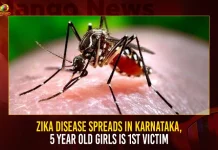 Zika Disease Spreads In Karnataka 5 Year Old Girls Is 1St Victim,Zika Virus,Zika Virus First Case Reported,Zika Virus In Karnataka,Zika Virus 5 Year Old Girl,Mango News,5 Year Old Raichur Girl,Zika Disease,Zika Disease Spreads In Karnataka,First Case Of Zika Virus,Karnataka On Alert,Karnataka Reports First Zika Virus Case,Zika Virus Case,Zika Virus First Case In Karnataka, 5 Yr Old Girl Tests Positive,Zika Virus Latest News And Updates,Zika Virus Latest Cases Registered,Zika Virus India,India Zika Virus Case