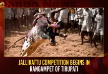 Jallikattu Competition Begins In Rangampet Of Tirupati Jallikattu Competition Begins In Rangampet Of Tirupati,Jallikattu Competition Begins,Jallikattu Competition,Jallikattu Competition Rangampet,Jallikattu Competition Tirupati,Mango News,Jallikattu 2023,Jallikattu Case,Jallikattu Competition,Jallikattu Festival,Jallikattu News,Jallikattu Online Registration 2023,Jallikattu Videos,What Is Jallikattu,Alanganallur Jallikattu 2023 Date,Alanganallur Jallikattu Kaalai,Jallikattu Live Today,Jallikattu News,Palamedu Jallikattu Live,Alanganallur Jallikattu Online Booking,Jallikattu Festival,Jallikattu Live 2023 Date