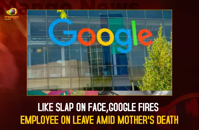 Like Slap On Face Google Fires Employee On Leave Amid Mother’s Death,Like Slap On Face, Google Fires Employee,On Leave Amid Mother’s Death,Mango News,Google Layoffs 12000,Google Layoffs Reddit,Google Layoffs 2023,Google Fires Employee,Google Fires Employee Sentient Ai,Google Fires Employee Ai,Google Fires Employee Behind Anti-Diversity Memo,Google Fires Employee Over Ai,Google Fires Employee Sentient,Google Fires Black Employee,Google Fires Unvaccinated Employees,Google Fires 80 Employees