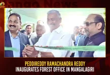 Peddireddy Ramachandra Reddy Inaugurates Forest Office In Mangalagiri,Aranya Bhavan in Mangalagiri Today,Minister Peddireddy Ramachandra Reddy,AP Forest Head Office,Aranya Bhavan in Mangalagiri,Mango News,Tdp Chief Chandrababu Naidu,AP CM YS Jagan Mohan Reddy,YS Jagan News And Live Updates, YSR Congress Party, Andhra Pradesh News And Updates, AP Politics, Janasena Party, TDP Party, YSRCP, Political News And Latest Updates