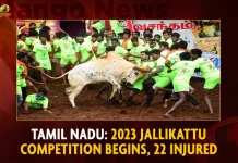 Tamil Nadu 2023 Jallikattu Competition Begins Leaves 22 Injured,Tamil Nadu Jallikattu, 2023 Jallikattu Competition Begins,Jallikattu Leaves 22 Injured,Mango News,Tamil Nadu Jallikattu,Palamedu Jallikattu,Madurai.Nic.In Jallikattu,Jallikattu Video,Jallikattu State,Jallikattu Sport,Jallikattu Protest,Jallikattu Photos,Jallikattu Kaalai,Jallikattu Images,Jallikattu Festival,Jallikattu 2023 Festival,Jallikattu 2023,Avaniyapuram Jallikattu,Alanganallur Jallikattu 2023,Alanganallur Jallikattu