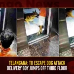 Telangana: To Escape Dog Attack Delivery Boy Jumps Off Third Floor, To Escape Dog Attack Delivery Boy Jumps Off Third Floor, Delivery Boy Jumps Off Third Floor, Telangana Delivery Boy, To Escape Dog Attack, Mohammed Rizwan, Lumbini Rock Crystal Apartment, delivery boy allegedly jumped off, Telangana, Mango News