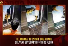 Telangana: To Escape Dog Attack Delivery Boy Jumps Off Third Floor, To Escape Dog Attack Delivery Boy Jumps Off Third Floor, Delivery Boy Jumps Off Third Floor, Telangana Delivery Boy, To Escape Dog Attack, Mohammed Rizwan, Lumbini Rock Crystal Apartment, delivery boy allegedly jumped off, Telangana, Mango News