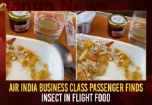 Air India Business Class Passenger Finds Insect In Flight Food,Air India Business Class Passenger,Passenger Finds Insect In Flight Food,Air India Passenger Finds Insect In Food,Business Class Passenger Flight Food,Mango News,Air India Business Class International,Air India Business Class,Air India Business Class 2023,Air India Business Class After Tata Takeover,Air India Business Class Baggage Allowance,Air India Business Class Booking,Air India Business Class Domestic,Air India Business Class Facilities,Air India Business Class Review,Air India Business Class Review 2023,Air India Business Class Seats,Air India Business Class Sfo To Delhi,Air India Business Class Ticket Price,Air India Business Class Upgrade,Air India Business Class Vs First Class