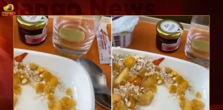 Air India Business Class Passenger Finds Insect In Flight Food,Air India Business Class Passenger,Passenger Finds Insect In Flight Food,Air India Passenger Finds Insect In Food,Business Class Passenger Flight Food,Mango News,Air India Business Class International,Air India Business Class,Air India Business Class 2023,Air India Business Class After Tata Takeover,Air India Business Class Baggage Allowance,Air India Business Class Booking,Air India Business Class Domestic,Air India Business Class Facilities,Air India Business Class Review,Air India Business Class Review 2023,Air India Business Class Seats,Air India Business Class Sfo To Delhi,Air India Business Class Ticket Price,Air India Business Class Upgrade,Air India Business Class Vs First Class