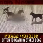 Hyderabad 4 Year Old Boy Bitten To Death By Street Dogs,Hyderabad 4 Year Old Boy,4 Year Old Boy Dogs Bitten, Hyderabad 4 Year Old Boy Bitten, Mango News, Street Dogs In Hyderabad,Dogs For Sale In Hyderabad,Hyderabad Dog Catchers,Hyderabad Dog Complaint,Hyderabad Dog News,Hyderabad Street Dogs Complaint,Stray Dogs,Street Dog Breed,Street Dog Helpline Number Hyderabad,Street Dogs,Street Dogs Hyderabad,Street Dogs Near Me