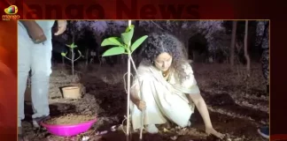 Kangana Ranaut Takes Part In Green India Challenge, Kangana Ranaut, Kangana Ranaut Green India Challenge, Green India Challenge,Mango News, Kangana Ranaut Husband,Green India Challenge,Green India Challenge Founder,Green India Challenge Santosh,Green India Challenge Started By,Green India Challenge Telangana,Green India Challenge Twitter,Green India Challenge Website,Green India Challenge Wikipedia,Is Kangana Ranaut Married,Kangana Ranaut,Kangana Ranaut Age,Kangana Ranaut Box Office Collection,Kangana Ranaut Dhaakad,Kangana Ranaut Instagram,Kangana Ranaut Movie List,Kangana Ranaut Net Worth,Kangana Ranaut Son,Kangana Ranaut Twitter,Kangana Ranaut Upcoming Movies,Kangana Ranaut Wikipedia