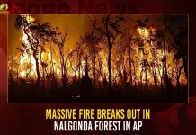 Massive Fire Breaks Out In Nalgonda Forest In AP,A P Fire Department Website,Ap Fire Services,Fire Accident Information,Fire Accident Near Me,Fire Accident Number,Nallakonda Forest Fire,Nallakonda Forest,Nallakonda Forest Office,Nallakonda Forest Fire News,Mango News,Nallakonda Fire News,Nallakonda Fire News Today,Nallakonda Fire News Today Live,Nallakonda Fire Accident,Massive Fire Breaks Out In Nallakonda,Nallakonda Forest In Ap,Nallakonda Forest