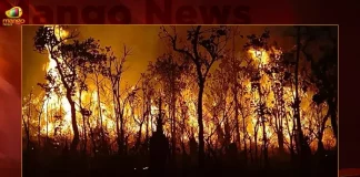 Massive Fire Breaks Out In Nalgonda Forest In AP,A P Fire Department Website,Ap Fire Services,Fire Accident Information,Fire Accident Near Me,Fire Accident Number,Nallakonda Forest Fire,Nallakonda Forest,Nallakonda Forest Office,Nallakonda Forest Fire News,Mango News,Nallakonda Fire News,Nallakonda Fire News Today,Nallakonda Fire News Today Live,Nallakonda Fire Accident,Massive Fire Breaks Out In Nallakonda,Nallakonda Forest In Ap,Nallakonda Forest