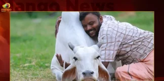 No More Cow Hug Day Animal Husbandry Welfare Board Withdraws Circular,No More Cow Hug Day, Animal Husbandry Welfare Board,Valentines Day Gifts,Valentines Day Week,Valentines Day For Boyfriend,Valentines Day Converse 2023,Valentines Day Coloring,Valentine'S Day Movie,Valentine'S Day Messages,Valentine'S Day Gifts,Valentine'S Day 2022,Valentine'S Day,Happy Valentines Day Wishes,Happy Valentines Day 2022,Happy Valentines Day,Cute Valentines Gifts,Hug Day,Cow Hugging Near Me,Happy Hug Day,Hug A Cow Day,Hug A Cow Near Me,Hug Day 2021,Hug Status