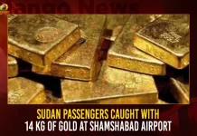 Sudan Passengers Caught With 14 Kg Of Gold At Shamshabad Airport, Sudan Passengers Caught, 14 Kg Of Gold At Shamshabad Airport, Sudan Passengers Caught At Shamshabad, Mango News, Shamshabad Airport Pin Code,Shamshabad Airport Area In Acres,Shamshabad Airport Bus Timings,Shamshabad Airport Code,Shamshabad Airport Directions,Shamshabad Airport Distance,Shamshabad Airport Route Map,Shamshabad Airport Tmo Which State,Sudan Airport News,Sudan Parliament,Sudan Parliament Name,Sudan Partition,Sudan Party,Sudan Travel,Sudan Travel Restrictions From India, 15 kg gold recovered from 23 passengers