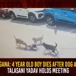 Telangana 4 Year Old Boy Dies After Dog Attack Talasani Yadav Holds Meeting, 4 Year Old Boy Dies After Dog Attack, Telangana 4 Year Old Boy Died, Talasani Yadav Holds Meeting, Dog Attack Talasani Yadav Meeting, Hyderabad 4 Year Old Boy Bitten, 4 Year Old Boy Bitten To Death, Mango News, Street Dogs In Hyderabad,Dogs For Sale In Hyderabad,Hyderabad Dog Catchers,Hyderabad Dog Complaint,Hyderabad Dog News,Hyderabad Street Dogs Complaint,Stray Dogs,Street Dog Breed,Street Dog Helpline Number Hyderabad,Street Dogs,Street Dogs Hyderabad,Street Dogs Near Me
