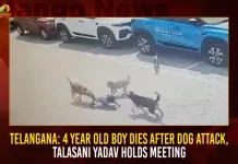 Telangana 4 Year Old Boy Dies After Dog Attack Talasani Yadav Holds Meeting, 4 Year Old Boy Dies After Dog Attack, Telangana 4 Year Old Boy Died, Talasani Yadav Holds Meeting, Dog Attack Talasani Yadav Meeting, Hyderabad 4 Year Old Boy Bitten, 4 Year Old Boy Bitten To Death, Mango News, Street Dogs In Hyderabad,Dogs For Sale In Hyderabad,Hyderabad Dog Catchers,Hyderabad Dog Complaint,Hyderabad Dog News,Hyderabad Street Dogs Complaint,Stray Dogs,Street Dog Breed,Street Dog Helpline Number Hyderabad,Street Dogs,Street Dogs Hyderabad,Street Dogs Near Me