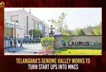 Telangana's Genome Valley Works To Turn Start Ups Into MNCs, Telangana's Genome Valley, Start Ups Into MNCs, Genome Valley Works To Turn Start Ups, Genome Valley Start Ups Into MNCs, Mango News, List Of Companies In Genome Valley Shameerpet,Genome Valley Biotech Park,Genome Valley Hyderabad Telangana,Genome Valley In Hyderabad Famous For,Genome Valley Map,Genome Valley Novartis,Jobs In Genome Valley Hyderabad,List Of Pharma Companies In Genome Valley ,Telangana Border Karnataka,Telangana Genome Valley
