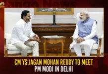 CM YS Jagan Mohan Reddy To Meet PM Modi In Delhi,CM Jagan To Meet PM Modi,CM YS Jagan To Meet PM Modi In Delhi,Mango News,Union Home Minister Amit Shah in Delhi,CM Jagan Likely To Meet Amit Shah in Delhi Today,YS Jagan Mohan Reddy to Meet PM Narendra Modi,Andhra pradesh Politics,AP CM YS Jagan Mohan Reddy,YSR Party,Andhra pradesh Politics,AP CM Jagan Latest News and Live Updates,Indian Prime Minister Narendra Modi,Union Minister Amit Shah,Andhra pradesh Latest News