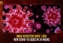 India Registers Over 1800 New COVID-19 Cases In 24 Hours,India 1800 New COVID-19 Cases,India Registers New COVID-19 Cases,COVID-19 Cases In 24 Hours,Mango News,India Logs Over 1800 New Covid Cases,1800 Covid Infections In India,India Records Over 1800 Covid Cases,India Fights Corona,Active Corona Cases,Corona Active Cases Exceeds,Corona News,Corona Updates,Coronavirus In India,Coronavirus Outbreak,COVID 19 India,COVID 19 Updates,India Covid Last 24 Hours Report