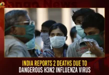 India Reports 2 Deaths Due To Dangerous H3N2 Influenza Virus,India Reports New H3N2 Influenza Virus,2 Deaths Due To H3N2 Virus,Dangerous H3N2 Influenza Virus,Mango News,Two People Lost Lives,H3N2 Influenza Virus in Haryana,H3N2 Influenza Virus in Karnataka,India reports first H3N2 deaths,H3N2 Influenza Deaths In India,H3N2 virus kills two in India,India reports two H3N2 Influenza Kills,H3N2 Influenza KIlls In India,Haryana Latest News,Karnataka Influenza Virus Updates,Haryana Live News,Influenza Virus Latest News and Updates