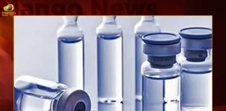 Measles-Rubella Vaccine Of Hyderabad Pharmacy Gets DCGI Nod,Measles-Rubella Vaccine Gets DCGI Nod,Hyderabad Pharmacy Gets DCGI Nod,Measles-Rubella Vaccine,Mango News,Indian Immunologicals gets DCGI nod,Hyderabad based Indian Immunologicals get Approval,IIL gets DCGI nod for Measles-Rubella vaccine,Indian Immunologicals wins DCGI okay,Latest DCGI News,Latest DCGI Information & Updates,Measles-Rubella Vaccine Latest News,Measles-Rubella Vaccine Latest Updates