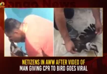 Netizens In Aww After Video Of Man Giving CPR To Bird Goes Viral,Netizens In Aww,Video Of Man Giving CPR To Bird,Man Giving CPR To Bird Goes Viral,Netizens In Aww After Video Of Man Giving CPR,Mango News,Man performs CPR on bird in Telangana,CPR To Bird Latest News,Hyderabad News,Telangana News,Telangana News Live,Telangana Latest News And Updates,CPR To Bird Video