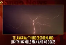 Telangana: Thunderstorm And Lightning Kills Man And 40 Goats,Telangana Thunderstorm Kills Man,Telangana Thunderstorm And Lightning,Thunderstorm Kills Man And 40 Goats,Telangana Man And 40 Goats Killed by Thunderstorm,Mango News,40 Goats and One Youth Died Due to Lightning,Thunderstorm Hits Hyderabad News,Telangana Thunderstorm Hits Latest News,Telangana Thunderstorm Highlights,Heavy Rain With Thunderstorms In Telangana,Hyderabad Rains Today,Telangana Rains Latest Updates,Telangana Thunderstorm Live News