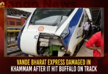 Vande Bharat Express Damaged In Khammam After It Hit Buffalo On Track,Vande Bharat Express Damaged,Vande Bharat Hit Buffalo On Track,Vande Bharat Damaged In Khammam,Mango News,Vande Bharat train hits buffalo,Vande Bharat train had a near miss,Vande Bharat train's front portion damaged,Vande Bharat Train Suffers Damage,Vande Bharat Express Latest News,Vande Bharat Express Updates,Vande Bharat Express Latest News and Updates,Khammam Latest News