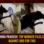 Andhra Pradesh TDP Worker Files Case Against Dog For Insulting CM,Andhra Pradesh TDP Worker Files Case,Case Against Dog For Insulting CM,TDP Worker Files Case,Mango News,Police complaint against dog,Complaint filed after dog tears,AP CM YS Jagan Mohan Reddy,AP Politics,AP Latest Political News,Andhra Pradesh Latest News,Andhra Pradesh News,Andhra Pradesh News and Live Updates