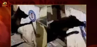 Andhra Pradesh TDP Worker Files Case Against Dog For Insulting CM,Andhra Pradesh TDP Worker Files Case,Case Against Dog For Insulting CM,TDP Worker Files Case,Mango News,Police complaint against dog,Complaint filed after dog tears,AP CM YS Jagan Mohan Reddy,AP Politics,AP Latest Political News,Andhra Pradesh Latest News,Andhra Pradesh News,Andhra Pradesh News and Live Updates