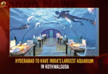 Hyderabad To Have India’s Largest Aquarium In Kothwalguda Hyderabad To Have India's Largest Aquarium In Kothwalguda,Hyderabad To Have India's Largest Aquarium,India's Largest Aquarium In Kothwalguda,Mango News,Kothwalguda To House India's Largest Aquarium,‘India’S Largest’ Aquarium,Hyderabad Emerges As Hot Travel Destination,Hyderabad To Soon Have India'S Largest Aquarium,Good News For Hyderabadis,Biggest Aquarium In Hyderabad,Underwater Aquarium In Hyderabad,Kothwalguda Aquarium,Best Aquarium In Hyderabad,Kothwalguda Eco Park,Largest Aquarium In India,Public Aquarium In Hyderabad,Kothwalguda Aquarium Latest News,Kothwalguda Aquarium Latest Updates,Hyderabad Kothwalguda Aquarium News Today
