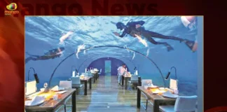 Hyderabad To Have India's Largest Aquarium In Kothwalguda,Hyderabad To Have India's Largest Aquarium,India's Largest Aquarium In Kothwalguda,Mango News,Kothwalguda To House India's Largest Aquarium,‘India’S Largest’ Aquarium,Hyderabad Emerges As Hot Travel Destination,Hyderabad To Soon Have India'S Largest Aquarium,Good News For Hyderabadis,Biggest Aquarium In Hyderabad,Underwater Aquarium In Hyderabad,Kothwalguda Aquarium,Best Aquarium In Hyderabad,Kothwalguda Eco Park,Largest Aquarium In India,Public Aquarium In Hyderabad,Kothwalguda Aquarium Latest News,Kothwalguda Aquarium Latest Updates,Hyderabad Kothwalguda Aquarium News Today