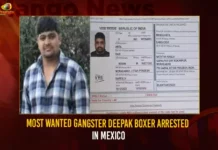 Most Wanted Gangster Deepak Boxer Arrested In Mexico,Most Wanted Gangster Arrested,Gangster Deepak Boxer Arrested,Deepak Boxer Arrested In Mexico,Mango News,Most Wanted Gangster Deepak Boxer Brought To Delhi,Most Wanted Gangster Arrested In Mexico,In Its First Overseas Arrest of a Gangster,Delhi's Most Wanted Gangster Arrested In Mexico,Citys Wanted Gangster Deepak Boxer Arrested,Gangster Deepak Boxer Latest News,Gangster Deepak Boxer Latest Updates,Gangster Deepak Boxer Live News
