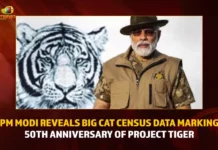 PM Modi Reveals Big Cat Census Data Marking 50th Anniversary Of Project Tiger,PM Modi Reveals Big Cat Census Data,Big Cat Census Data,50th Anniversary Of Project Tiger,Mango News,Project Tiger Latest News and Updates,Project Tiger News and Updates,Project Tiger 50th Anniversary,Project Tiger 50th Anniversary Census Data,Project Tiger Census Data,Project Tiger Updates,Project Tiger Census Data Latest News and Updates