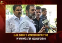 Rahul Gandhi To Address Public Meeting In Wayanad After Disqualification,Rahul Gandhi To Address Public Meeting,Rahul Gandhi Meeting In Wayanad,Rahul Gandhi Meeting After Disqualification,Mango News,Rahul Gandhi Wayanad Meeting,Rahul Gandhi Public Meeting,Rahul Gandhi Latest News and Updates,Rahul Gandhi News and Updates,Rahul Gandhi Updates,Rahul Gandhi Meeting Live Updates,Rahul Gandhi Latest and Live Updates