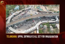 Telangana Uppal Skywalk Is All Set For Inauguration,Telangana Uppal Skywalk,Uppal Skywalk Is All Set,Skywalk Is All Set For Inauguration,Mango News,Hyderabad Uppal Skywalk Costing Over Rs. 25 Crores,Uppal skywalk built with Rs.25cr by HMDA,Uppal Skywalk ready for inauguration,Telangana Uppal Skywalk Latest News,Telangana Uppal Skywalk Latest Updates,Telangana Uppal Skywalk Live News