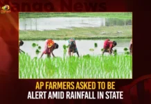 AP Farmers Asked To Be Alert Amid Rainfall In State,AP Farmers Asked To Be Alert,Rainfall In State AP,Farmers Alert Amid Rainfall,Mango News,AP Rainfall Alert,AP Farmers Rainfall Alert,Andhra Pradesh Latest News,Andhra Pradesh News,Andhra Pradesh News and Live Updates,AP Rainfall Alert Latest News,AP Rainfall Alert Latest Updates,AP Rainfall Alert Live News,AP Rainfall News Today