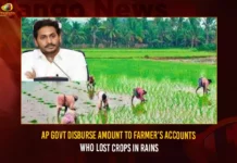 AP Govt Disburse Amount To Farmers Accounts Who Lost Crops In Rains,AP Govt Disburse Amount To Farmers,Farmers Accounts Who Lost Crops In Rains,Disburse Amount To Farmers Accounts,Mango News,AP Govt Lost Crops In Rains,AP govt disburses money into farmers accounts,AP Govt Latest News And Updates,AP Farmers,AP Farmers Latest News And Updates,YS Jagan Disburse Amount To Farmers,YS Jagan Disburse Amount To Farmers Account