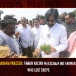 Andhra Pradesh: Pawan Kalyan Meets Rain Hit Farmers Who Lost Crops Andhra Pradesh Pawan Kalyan Meets Rain Hit Farmers Who Lost Crops,Pawan Kalyan Meets Rain Hit Farmers,AP Pawan Kalyan Meets Rain Hit Farmers,Mango News,AP Farmers Who Lost Crops,Janasena Chief Pawan Kalyan Interacts With Untimely Rain Hit Farmers,Pawan Kalyan meets rain-hit farmers,Pawan visits rain-hit farmers,Pawan Kalyan Latest News And Updates,Andhra Pradesh Latest News And Updates,Pawan Kalyan Meet Farmers,Pawan Kalyan meets farmers in Rajahmundry