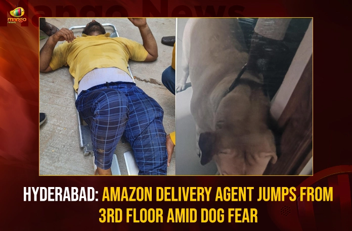 Hyderabad Amazon Delivery Agent Jumps From 3rd Floor Amid Dog Fear,Hyderabad Amazon Delivery Agent Jumps,Amazon Delivery Agent Jumps From 3rd Floor,Delivery Agent Jumps From 3rd Floor Amid Dog Fear,Mango News,Amazon Delivery Agent,Delivery Agent Jumps Amid Dog Fear,One more delivery man attacked by dog,Dog Attack on Amazon Delivery Boy,Hyderabad News,Hyderabad Latest News,Hyderabad Latest Updates,Hyderabad Live News,Hyderabad Amazon Delivery Agent News Today,Amazon Delivery Agent Latest News,Amazon Delivery Agent Latest Updates,Telangana Latest News And Updates