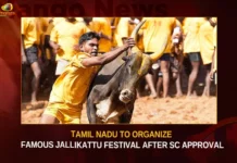 Tamil Nadu To Organize Famous Jallikattu Festival After SC Approval Tamil Nadu To Organize Famous Jallikattu Festival After SC Approval,Tamil Nadu To Organize Famous Jallikattu Festival,Tamil Nadu Jallikattu After SC Approval,Tamil Nadu Jallikattu Festival,SC Approval To Organize Famous Jallikattu,Mango News,Supreme Court upholds laws allowing Jallikattu,Jallikattu to continue in Tamil Nadu,Celebrations in Tamil Nadu,Tamil Nadu Jallikattu Latest News,Tamil Nadu Jallikattu Latest Updates,Tamil Nadu Jallikattu Live Updates,Jallikattu News Today,Jallikattu,Tamil Nadu Latest News