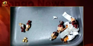 Telangana: 2 Passengers Arrested With Smuggled Gold Worth Rs 16 Lakhs By Customs Officials,2 Passengers Arrested With Smuggled Gold,Hyderabad Customs Officials Seizes Gold,Mango News,Gold worth Rs 16.5 lakh concealed,Smuggled Gold Worth Rs 16 Lakhs By Customs Officials,Telangana Latest News,Rajiv Gandhi International Airport,Smuggling at Rajiv Gandhi International Airport,Two held at Hyderabad airport for smuggling gold,Latest News on Hyderabad Airport Smuggling,Gold Seized At Hyderabad Airport