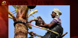 Telangana Govt Announces New Scheme For Toddy Tappers,Telangana announces new welfare scheme,Toddy Tappers In Telangana,Mango News,Telangana to introduce insurance scheme,Toddy Tappers,Telangana Latest Scheme,Life insurance for toddy-tappers,Geetha Karmikula Bhima,Insurance Scheme For Toddy Tappers,Telangana Latest News,KCR Latest Updates,Toddy Tappers Latest News,CM KCR going to implement Geetha Karmikula Bhima,Insurance cover for toddy tappers
