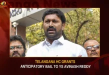 Telangana HC Grants Anticipatory Bail To YS Avinash Reddy,Telangana HC Grants Anticipatory Bail,Anticipatory Bail To YS Avinash Reddy,HC Grants Bail To YS Avinash,Mango News,Vivekananda Reddy murder case,Avinash Reddy's Anticipatory Bail,Telangana High Court News Today,MP Avinash Reddy Latest News,MP Avinash Reddy Latest Updates,MP Avinash Reddy Live News,MP Avinash Anticipatory Bail,MP Avinash Bail Latest News,MP Avinash Bail Latest Updates,YS Viveka Assassination Case Latest Updates,YS Viveka Assassination Case Live News