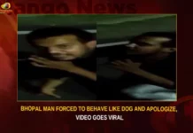 Bhopal Man Forced To Behave Like Dog And Apologize Video Goes Viral,Bhopal Man Forced To Behave Like Dog,Bhopal Man Forced To Apologize,Bhopal Man Video Goes Viral,Man Forced To Behave Like Dog And Apologize,Mango News,Bhopal Man Held On A Leash,Man Tied To A Leash,Man Forced To Bark Like A Dog,Youth Forced To Wear Dog Collar,Young Man Forced To Act Like Dog,Bhopal Man Latest News,Bhopal Man Latest Updates,Bhopal Man Forced Latest News,Bhopal Man Apologize News Today,Bhopal Man Viral Video,Bhopal Man Viral Video Latest News,Bhopal Man Viral Video Latest Updates,Bhopal Man Viral Video Live News