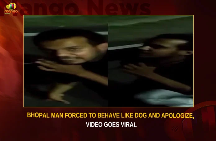 Bhopal Man Forced To Behave Like Dog And Apologize Video Goes Viral,Bhopal Man Forced To Behave Like Dog,Bhopal Man Forced To Apologize,Bhopal Man Video Goes Viral,Man Forced To Behave Like Dog And Apologize,Mango News,Bhopal Man Held On A Leash,Man Tied To A Leash,Man Forced To Bark Like A Dog,Youth Forced To Wear Dog Collar,Young Man Forced To Act Like Dog,Bhopal Man Latest News,Bhopal Man Latest Updates,Bhopal Man Forced Latest News,Bhopal Man Apologize News Today,Bhopal Man Viral Video,Bhopal Man Viral Video Latest News,Bhopal Man Viral Video Latest Updates,Bhopal Man Viral Video Live News