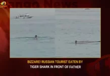 Bizzare Russian Tourist Eaten By Tiger Shark In Front Of Father,Bizzare Russian Tourist,Russian Tourist Eaten By Tiger Shark,Tourist Eaten By Tiger Shark,Shark Eaten Tourist In Front Of Father,Mango News,Disturbing Video Shows Russian Tourist,Shark eats Russian tourist,Russian Man Mauled,Youth Passes away in front of father,Russian man goes swimming,23 Year Old Eaten By Tiger Shark,Russian Tourist Latest News,Russian Tourist Latest Updates,Russian Tourist Eaten News Today,Tourist Eaten By Shark Latest News