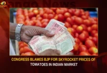 Congress Blames BJP For Skyrocket Prices Of Tomatoes In Indian Market,Congress Blames BJP,Congress Blames BJP For Skyrocket Prices,Skyrocket Prices Of Tomatoes,Prices Of Tomatoes In Indian Market,Skyrocket Of Tomatoes In Indian Market,Mango News,Congress Tweets About Rising Tomato Prices,Tomatoes disappear from kitchens,Delhi News Live Updates,Tomato prices skyrocket,Congress Blames BJP Latest News,Tomatoes Prices Latest News,Indian Market Tomatoes Prices Latest Updates,Indian Market Tomatoes Prices Live News,Skyrocket Prices Of Tomatoes Live Updates