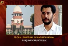 ED Challenges Bail Of Magunta Raghav In Liquor Scam Moves SC,ED Challenges Bail Of Magunta Raghav,Magunta Raghav In Liquor Scam,Magunta Raghav In Liquor Scam Moves SC,Mango News,ED Challenges Bail,Magunta Raghavareddy gets interim bail,Magunta Raghavareddy Granted Bail,Delhi Liquor Scam Case Latest News,Delhi Liquor Scam Case Latest Updates,Delhi Liquor Scam Case Live News,Magunta Raghava Reddy,Magunta Raghava Reddy Latest News,Magunta Raghava Reddy Latest Updates,Magunta Raghava Reddy Live News,Bail Of Magunta Raghav Latest News