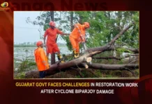 Gujarat Govt Faces Challenges In Restoration Work After Cyclone Biparjoy Damage,Gujarat Govt Faces Challenges,Gujarat Govt In Restoration Work,Gujarat Govt After Cyclone Biparjoy Damage,Cyclone Biparjoy Damage,Restoration Work After Cyclone Biparjoy,Mango News,Biparjoy impact,Cyclone Biparjoys trail of destruction,Cyclone Biparjoy Highlights,Cyclone Biparjoy Latest News,Cyclone Biparjoy Latest Updates,Gujarat Biparjoy Damage,Gujarat Biparjoy Damage Latest News,Gujarat Biparjoy Damage Latest Updates