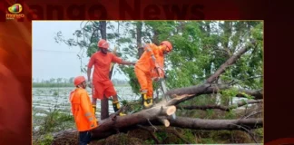 Gujarat Govt Faces Challenges In Restoration Work After Cyclone Biparjoy Damage,Gujarat Govt Faces Challenges,Gujarat Govt In Restoration Work,Gujarat Govt After Cyclone Biparjoy Damage,Cyclone Biparjoy Damage,Restoration Work After Cyclone Biparjoy,Mango News,Biparjoy impact,Cyclone Biparjoys trail of destruction,Cyclone Biparjoy Highlights,Cyclone Biparjoy Latest News,Cyclone Biparjoy Latest Updates,Gujarat Biparjoy Damage,Gujarat Biparjoy Damage Latest News,Gujarat Biparjoy Damage Latest Updates