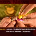 Telangana Famous Fish Prasadam Event Is Being Held At Nampally Exhibition Ground,Telangana Famous Fish Prasadam Event,Fish Prasadam Event Is Being Held At Nampally,Nampally Exhibition Ground,Famous Fish Prasadam Event,Mango News,Fish prasadam distribution for asthma cure,Fish prasadam to be administered at Nampally,Hyderabad Annual fish prasadam camp,Telangana Fish Prasadam,Telangana Fish Prasadam Latest News,Telangana Fish Prasadam Latest Updates,Fish Prasadam At Nampally,Fish Prasadam At Nampally News Today